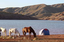 Morocco-Morocco-Cities of Kings